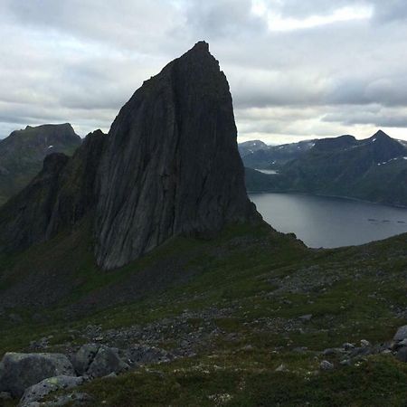 Fjordgard Leilighet A 外观 照片